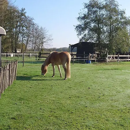 Pipowagen Biej Oma Neeske * Netersel