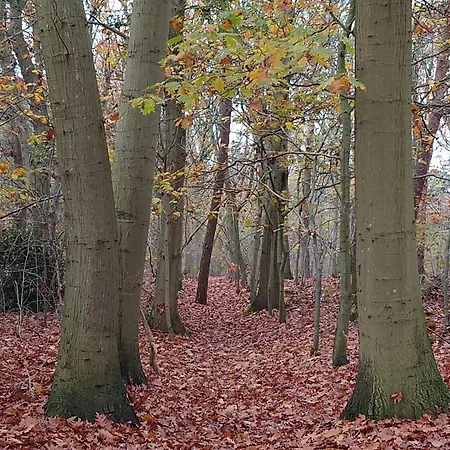 Pipowagen Biej Oma Neeske Bed & Breakfast