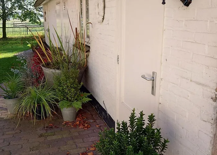 Pipowagen Biej Oma Neeske فندق مبيت وإفطار *