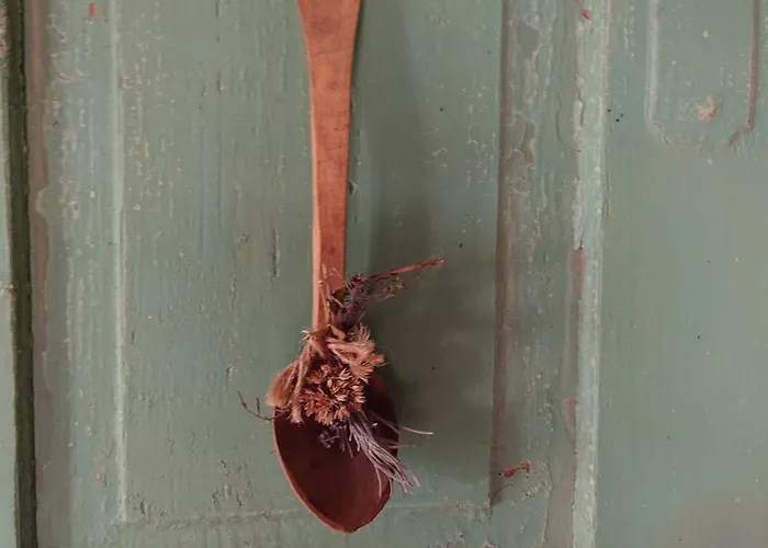 Pipowagen Biej Oma Neeske فندق مبيت وإفطار *