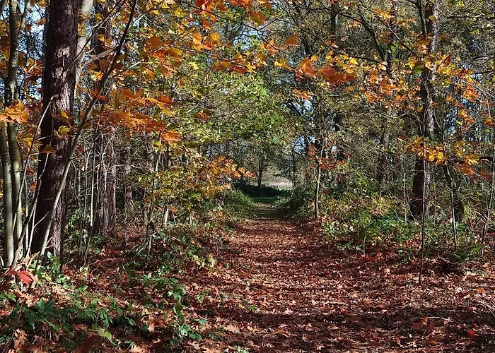 Pipowagen Biej Oma Neeske فندق مبيت وإفطار Netersel