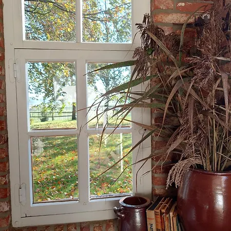 Bed & Breakfast Pipowagen Biej Oma Neeske Netersel