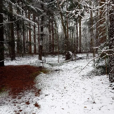 Pipowagen Biej Oma Neeske Bed & Breakfast *