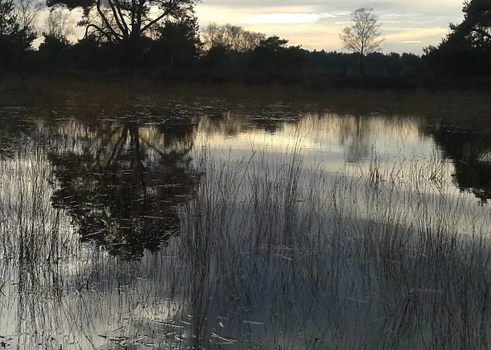 Pipowagen Biej Oma Neeske