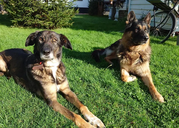 Pipowagen Biej Oma Neeske