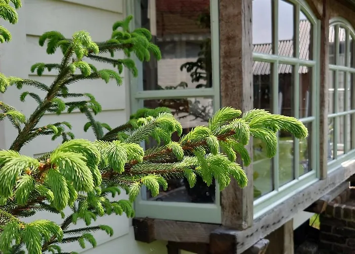 Pipowagen Biej Oma Neeske Netersel