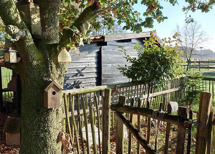 Pipowagen Biej Oma Neeske לינה וארוחת בוקר *