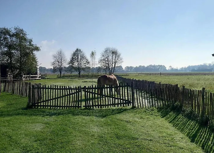 Pipowagen Biej Oma Neeske *