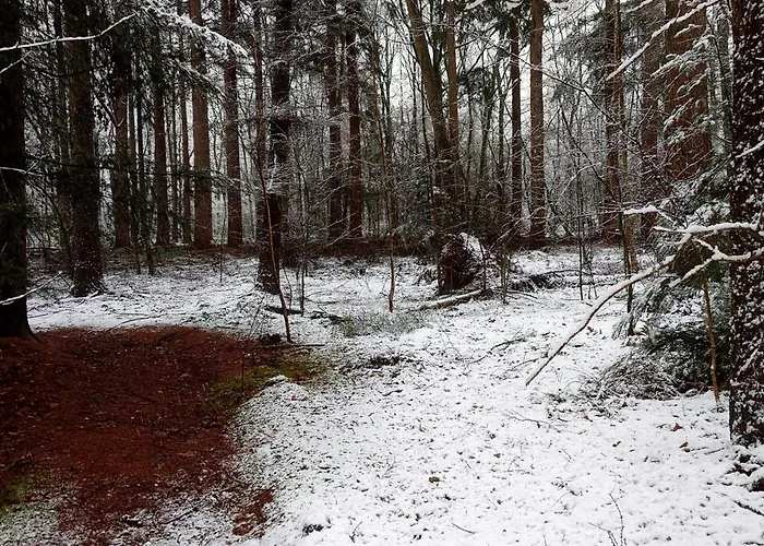 Pipowagen Biej Oma Neeske לינה וארוחת בוקר *