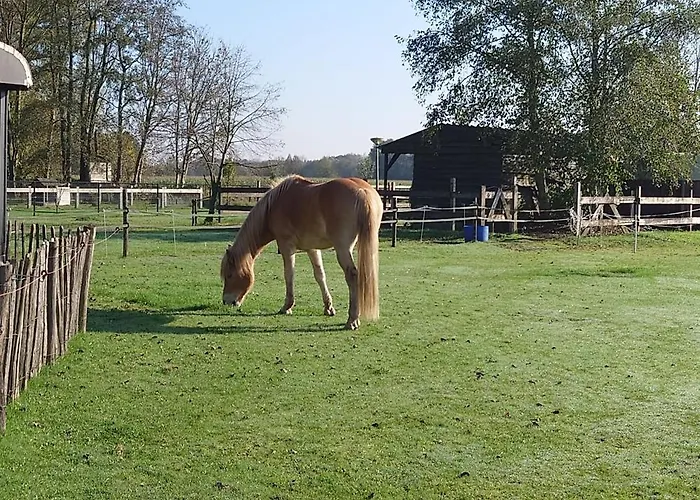Pipowagen Biej Oma Neeske * Netersel