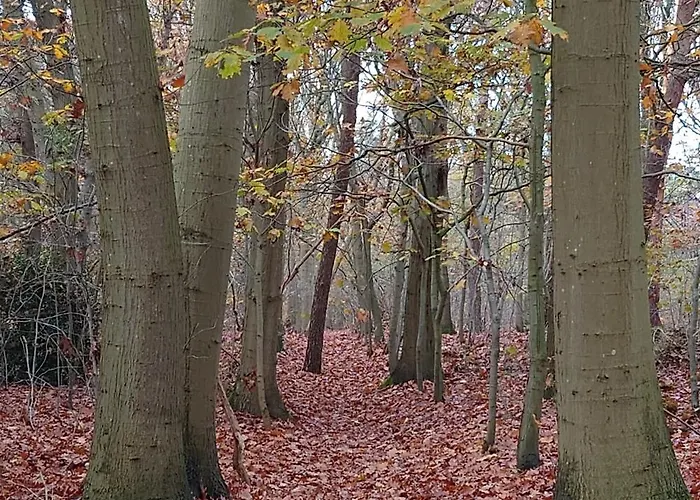 Pipowagen Biej Oma Neeske לינה וארוחת בוקר